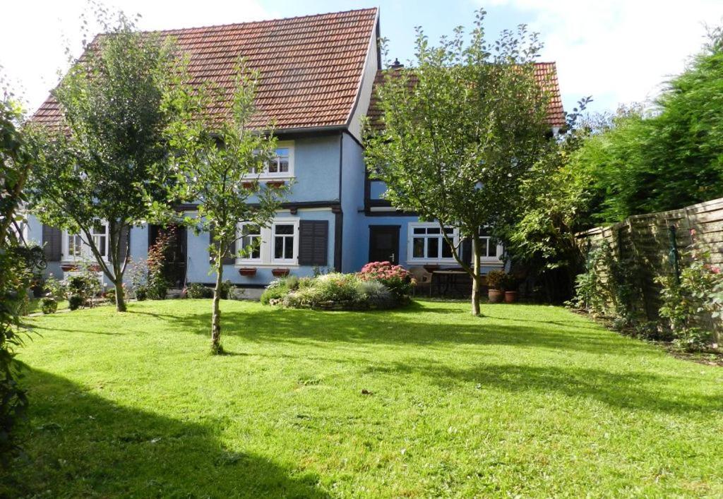 Ferienhaus Behringen Behringen  Exterior photo