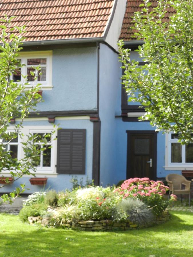 Ferienhaus Behringen Behringen  Exterior photo